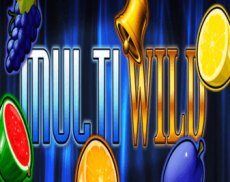 Multi Wild